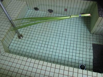菖蒲湯